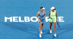 任天堂2025整年下载榜公布 《马车世界》登顶Switch 2